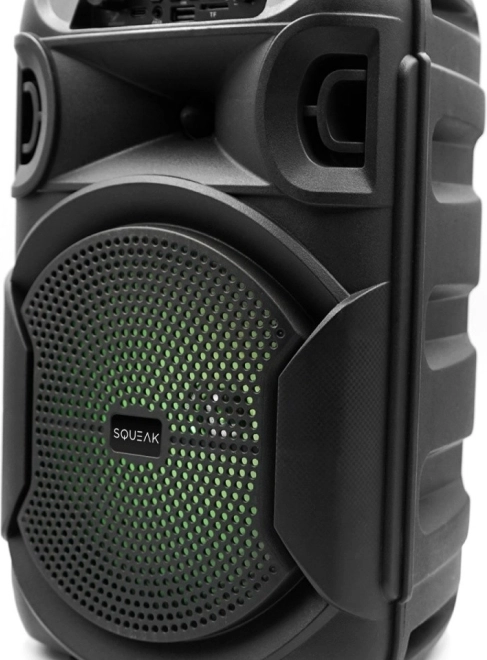 Bluetooth-højttaler Squeak PulseTower med karaoke, 1000 W