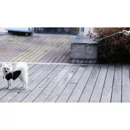 Automatisk hundesnor 5m/15kg Purlov 19788