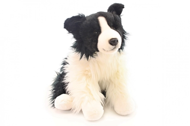 Plys Border collie 35 cm