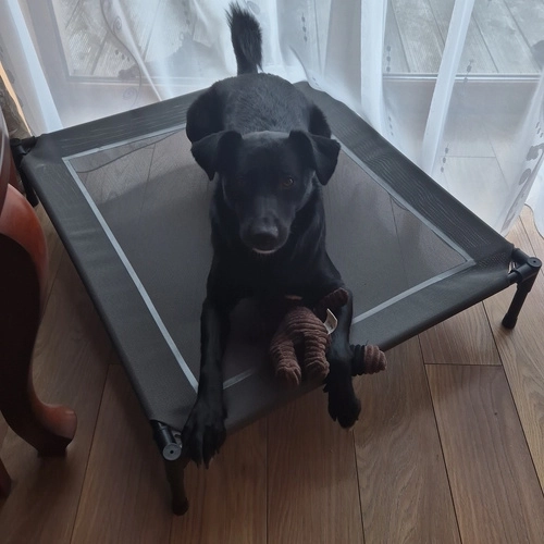 Overdækket hundeseng XXL Purlov