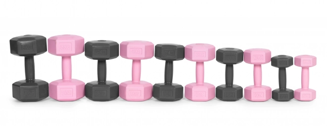 Hexagonale håndvægte ModernHome 2x2 kg grå