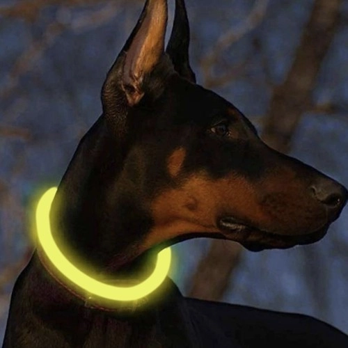 Lysende LED-halsbånd til hunde og katte