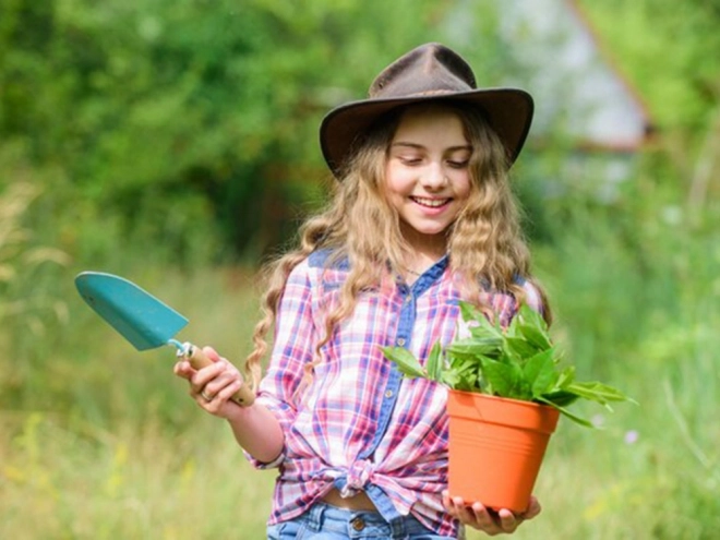 Have omplantningsske