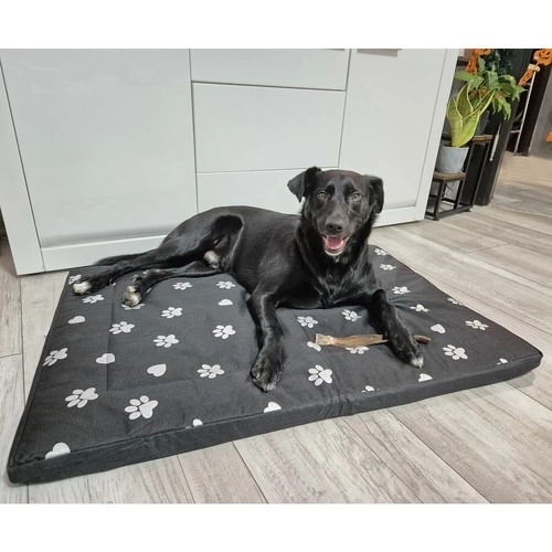 Vandtæt hundeseng XXL