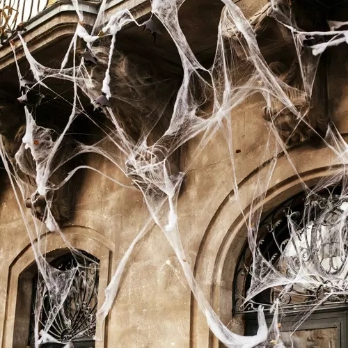 Kunstig Halloween spindelvæv med edderkopper