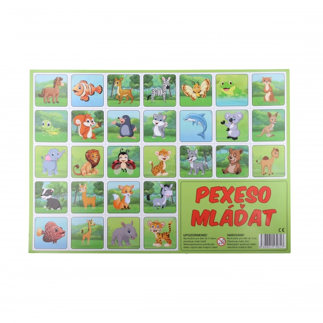 Pexeso Dyreunger