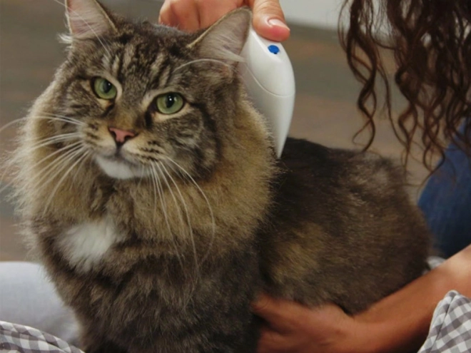 Elektrisk loppekam til hunde og katte
