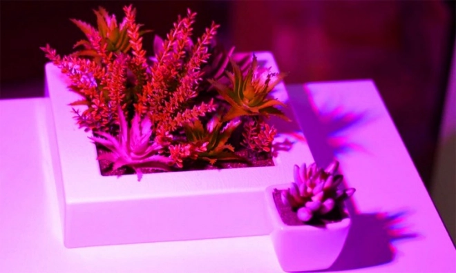 LED-lampe til plantevækst 200 LED E27