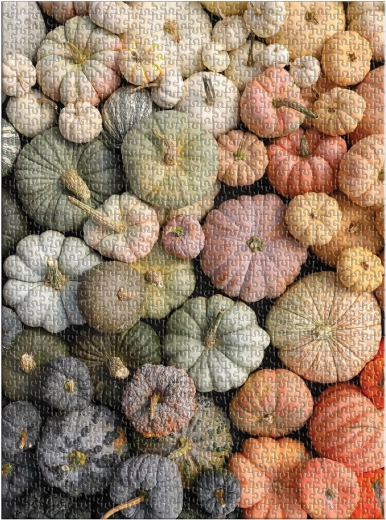 En dekoration, du kan være stolt af