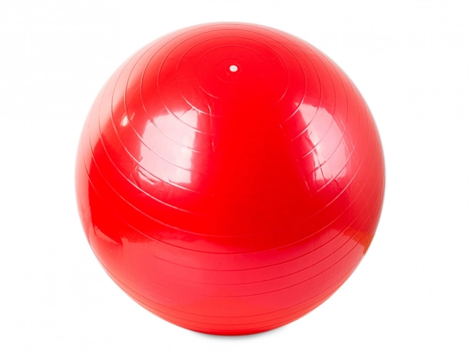 Gymnastikbold med pumpe til fitness og rehabilitering