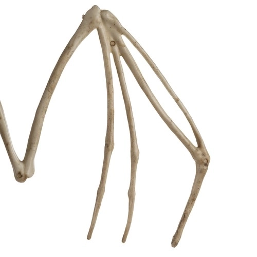 Flagermusens skelet - dekoration 30 cm Malatec