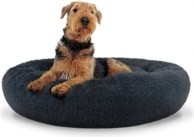 Universel hunde- og kattekurv, 80 cm, mørkegrå