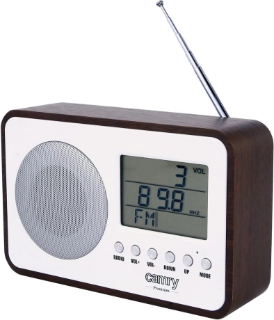 Digital radio Camry CR1153