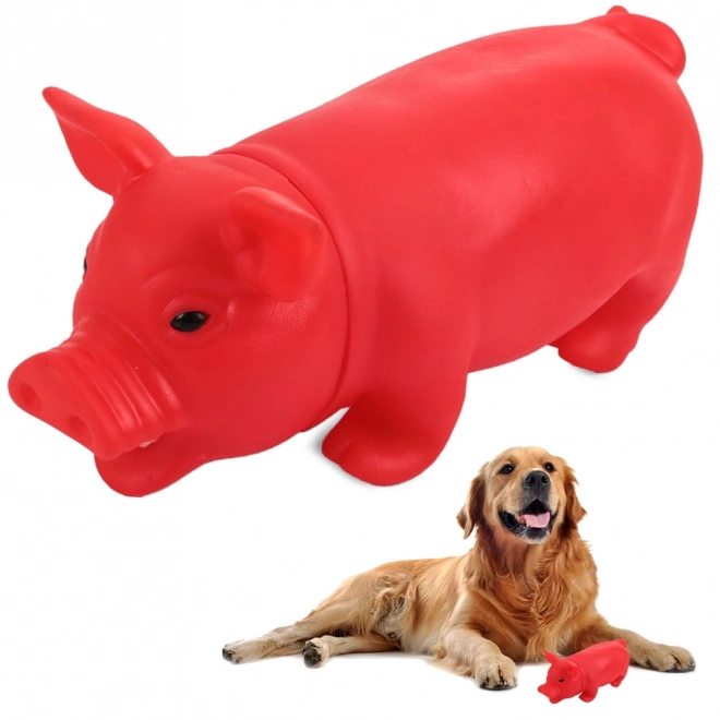 Squeaky gummilegetøj til hunde i form af en gris