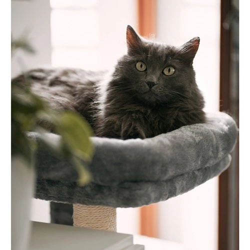Grå katte træ 71 cm