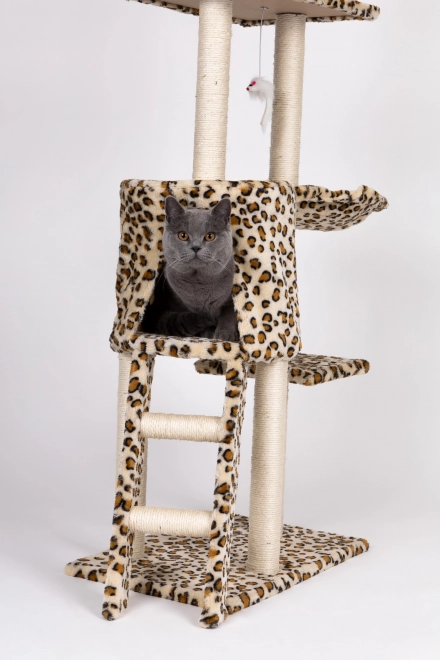 Kradsæt til katte, hus, træ, seng, 138 cm xl, Panther