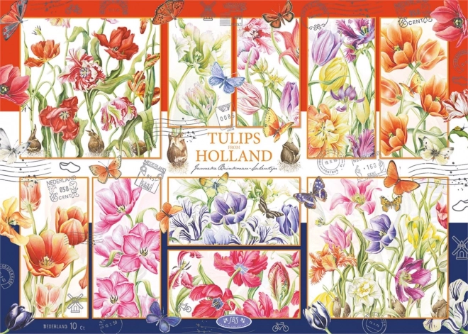 Puslespil Hollandske tulipaner 1000 brikker