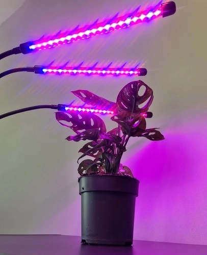 Lampe 20 LED 3 stk til plantevækst Gardlov 19242