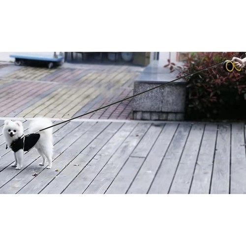 Automatisk hundesnor 8m/50kg