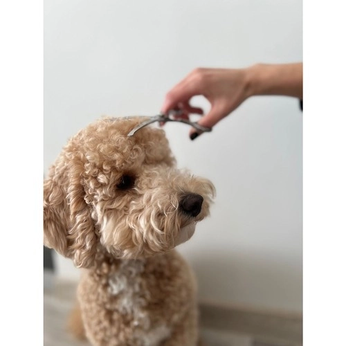 Sakse til hunde Purlov 23186