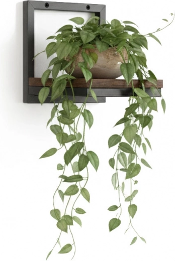 Praktisk fremvisning af planter og pladsbesparelse