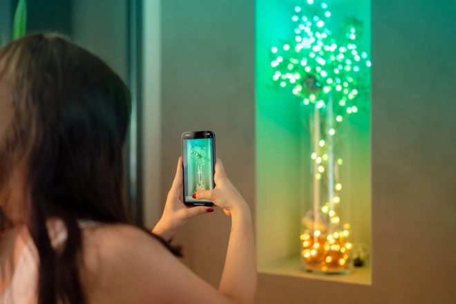 Kæder af smarte dekorative lys USB-C (Candies) 100 LED RGB, stearinlys, grøn ledning, 6 m