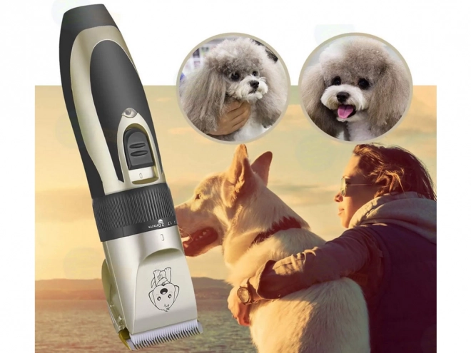 Sæt af sakse til klipning af hund