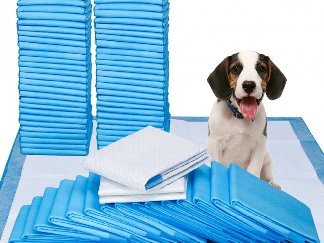 Træningsunderlag til hunde 60x90 cm