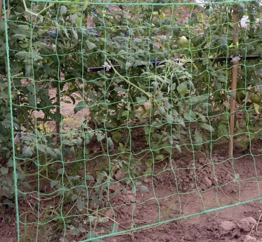 Gitter - støtte til planter 2x20m Gardlov 23980
