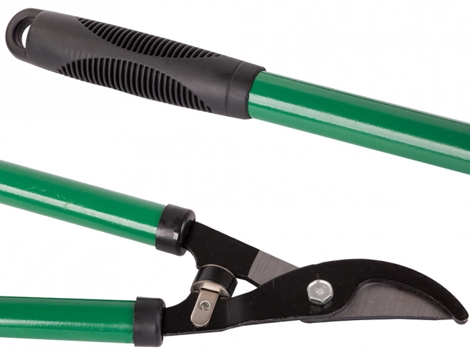 Lange ambolt-havesakse til grene