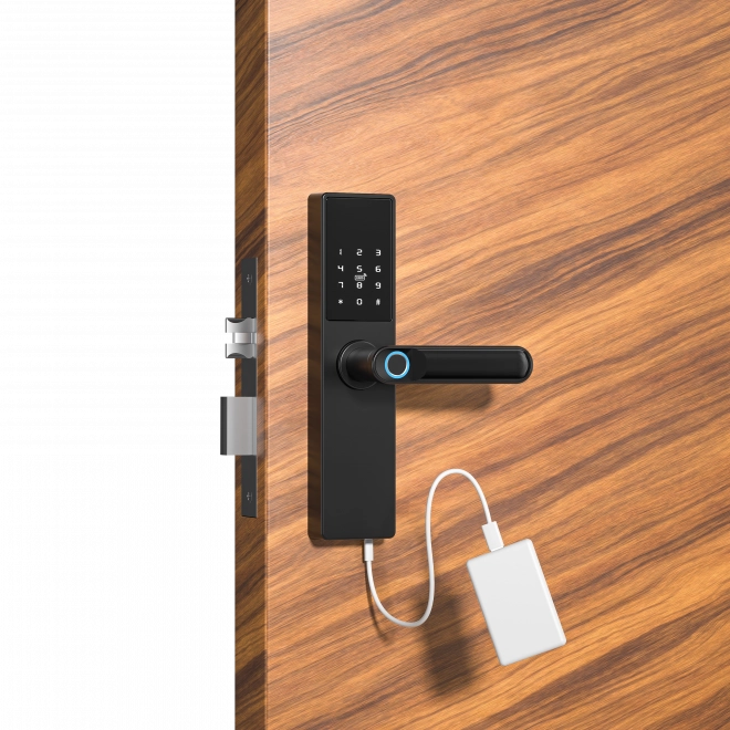 Intelligent Tuya-dør, Elektronisk fingeraftryks-, kode-, Wi-Fi-, RFID-lås - sort