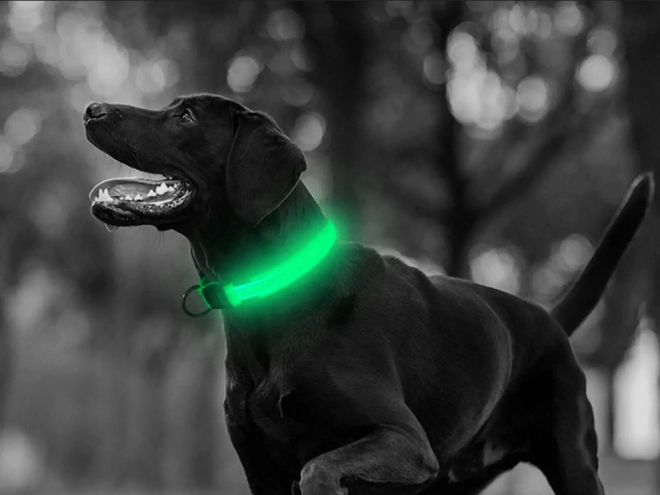 LED lysende halsbånd til hunde og katte justerbart 59 cm