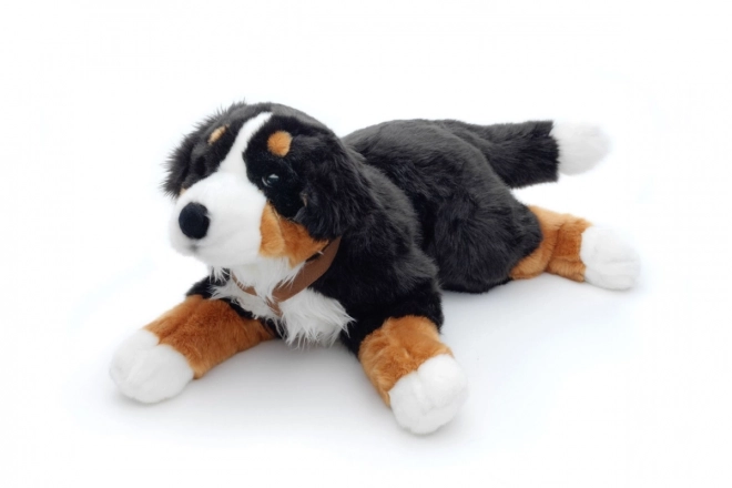 Plys Berner Sennenhund 65 cm