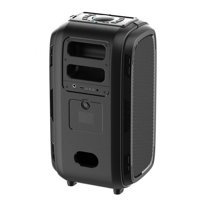 Trådløs højttaler Bluetooth W-KING T9 Pro 120W (sort)