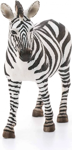 Ideel til samlinger og læring