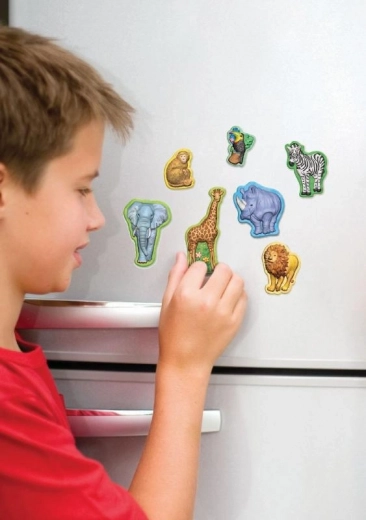 Magneter til køleskabet til daglig glæde