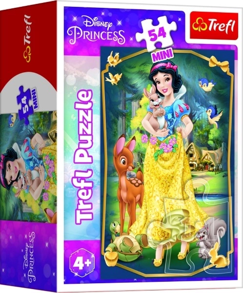 Mini puslespil Smukke prinsesser/Disney prinsesse 54 brikker