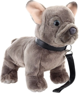 Plysset fransk bulldog med line 23 cm