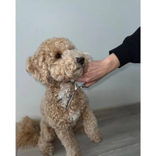 Sakse til hunde Purlov 23186