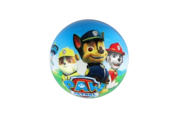 Bold paw patrol 14cm