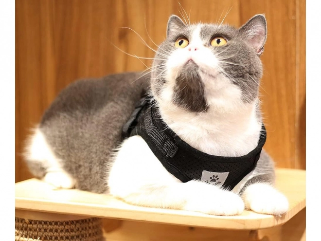 Trykfrit sele til hunde og katte med reflekterende elementer XS