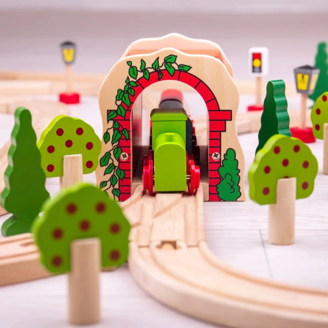 Træt murtunnel til togbane