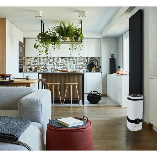 Luftfugter med aromaterapi Ruhhy 22739