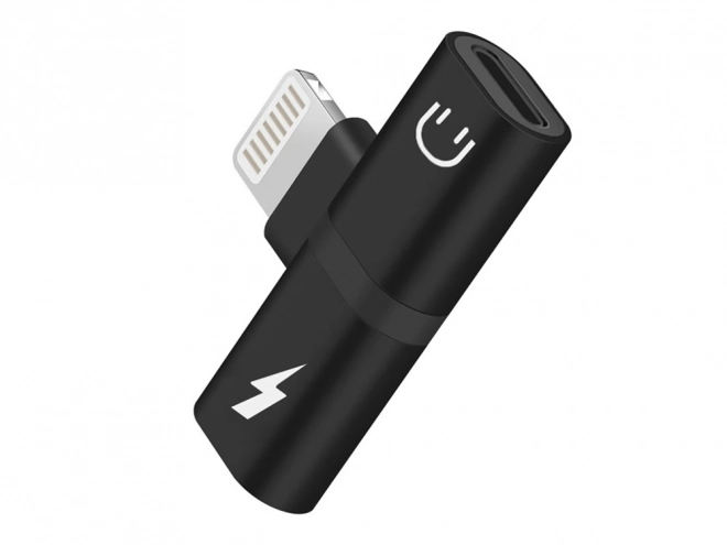 Lynadapter til iPad og iPhone 2 i 1