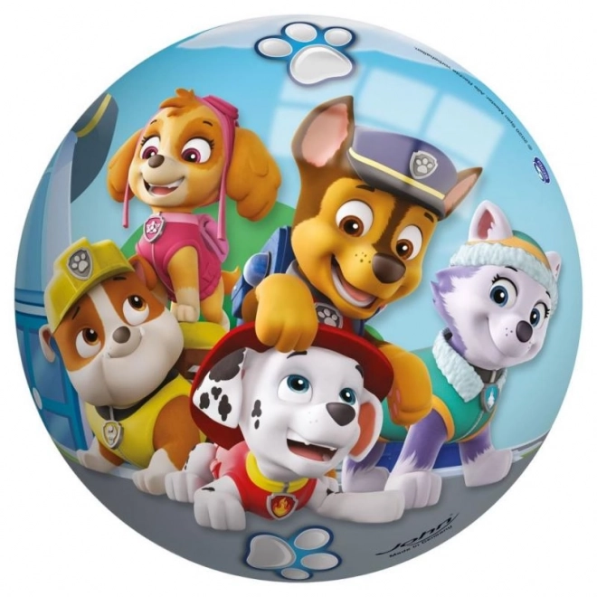 Bold Paw Patrol 23 cm
