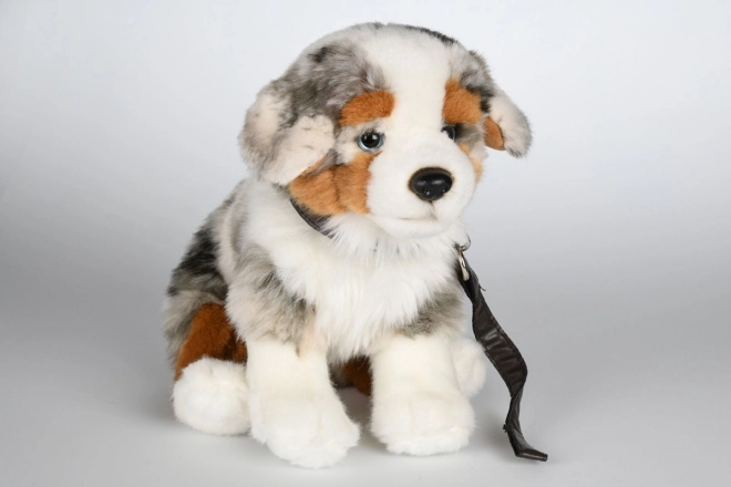 Plys Australsk Fårehund med Snor