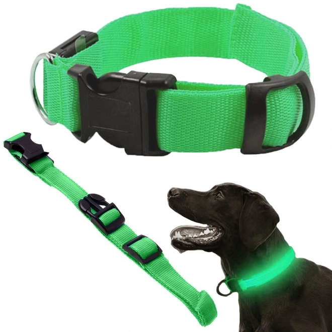 LED lysende halsbånd til hunde og katte justerbart 59 cm