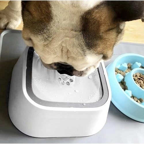 Vandskåle til hunde og katte med stænksikring - sæt med 2 stk