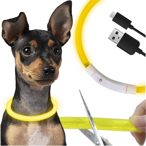 Lysende LED-halsbånd til hunde og katte