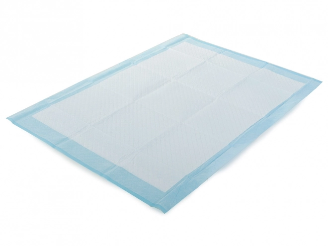Absorberende underlag til hunde 60x60 cm